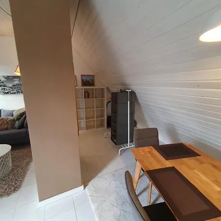 Apartment Zentrale Dachwohnung In Sha *