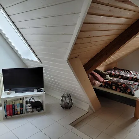 Apartment Zentrale Dachwohnung In Sha *